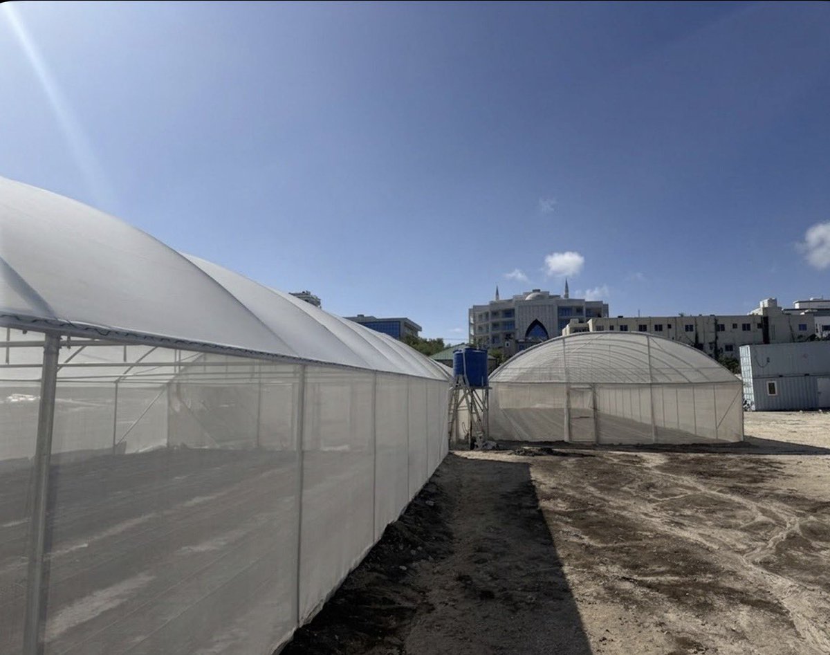 musse408's tweet photo. Fresh Breakfast Before Takeoff , Elevating the In Flight Experience 🥗✈️🇸🇴

Located right beside the runway in Halane, our high tech greenhouses deliver fresh, organic farm to table dining for distinguished diplomats and international travelers before they take flight. 

Somalia🇸🇴.