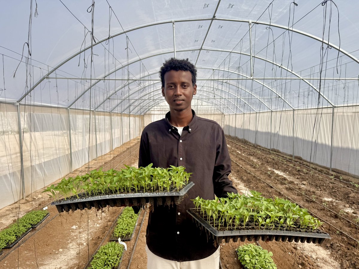 musse408's tweet photo. Fresh Breakfast Before Takeoff , Elevating the In Flight Experience 🥗✈️🇸🇴

Located right beside the runway in Halane, our high tech greenhouses deliver fresh, organic farm to table dining for distinguished diplomats and international travelers before they take flight. 

Somalia🇸🇴.