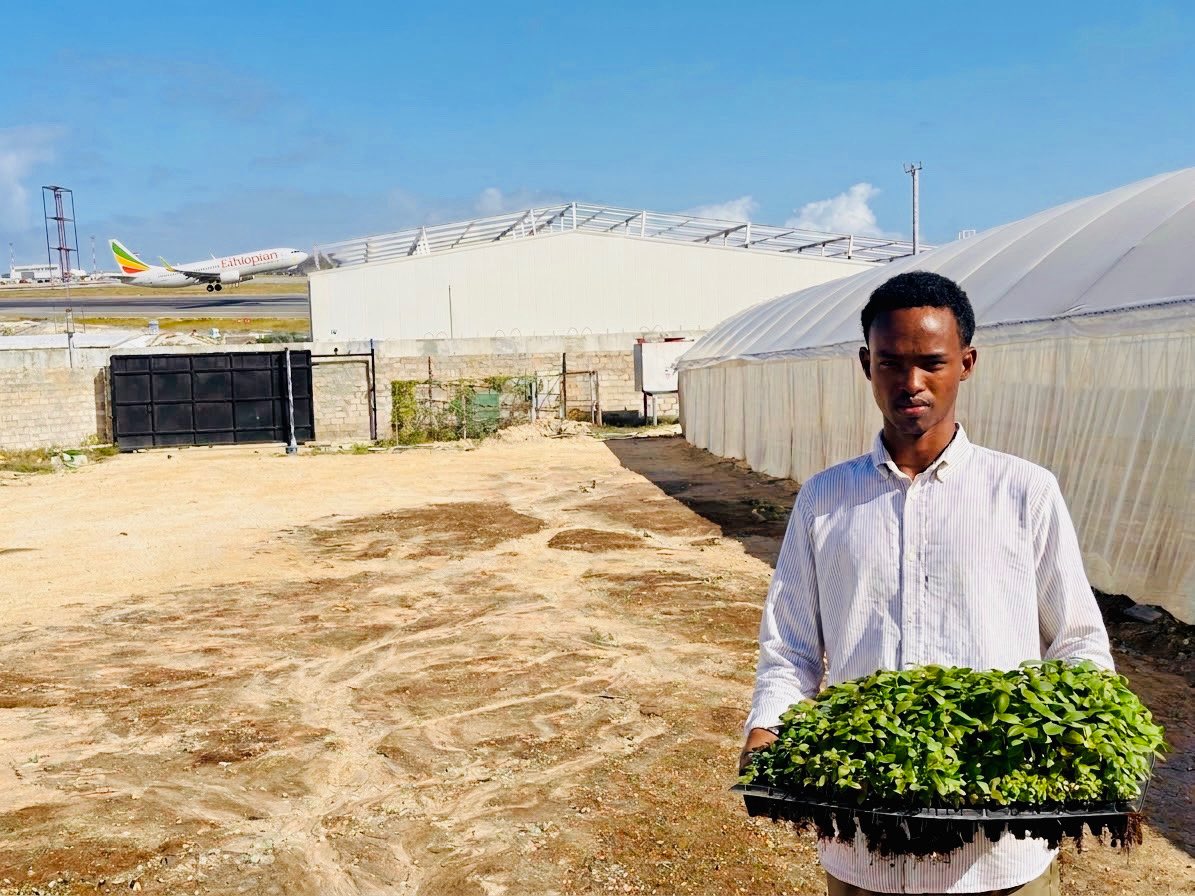 musse408's tweet photo. Fresh Breakfast Before Takeoff , Elevating the In Flight Experience 🥗✈️🇸🇴

Located right beside the runway in Halane, our high tech greenhouses deliver fresh, organic farm to table dining for distinguished diplomats and international travelers before they take flight. 

Somalia🇸🇴.
