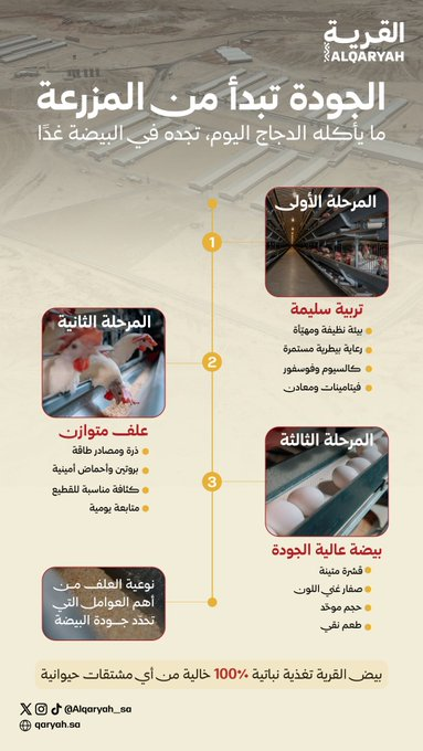 suzanne_leslie's tweet photo. الجودة تبدأ من المزرعة

في #بيض_القرية، نؤمن بأن كل بيضة تصل إلى مائدتك هي حصيلة رحلة مدروسة، تبدأ من بيئة تربية نظيفة ومهيّأة وفق أعلى معايير الجودة، تحت رعاية بيطرية مستمرة، وعلف متوازن يُعدّ بعناية ويخضع لمتابعة يومية

ما يأكله الدجاج اليوم، تجده في البيضة غدًا https://t.co/8IG4S1KYFT