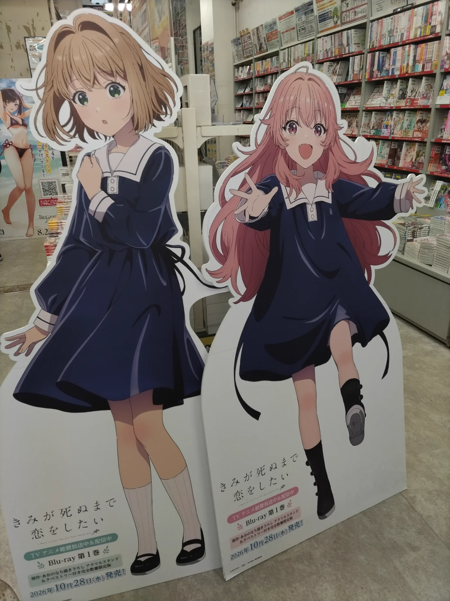 ゲーマーズなんば店 on X: 