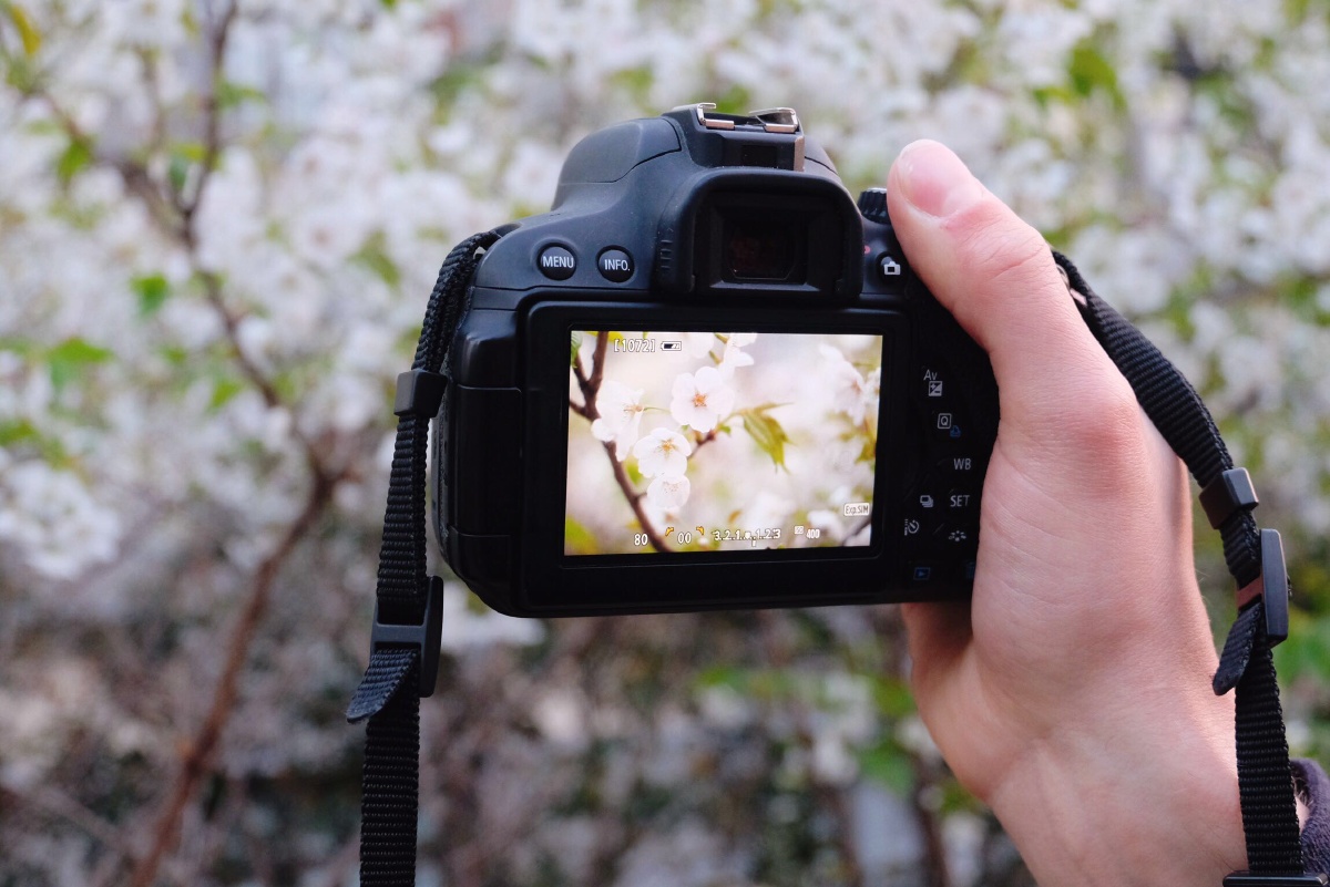 binap515175's tweet photo. New to photography Start with mastering natural light and the rule of thirds—no fancy gear needed to take great shots! https://t.co/RoxnUwRf3m