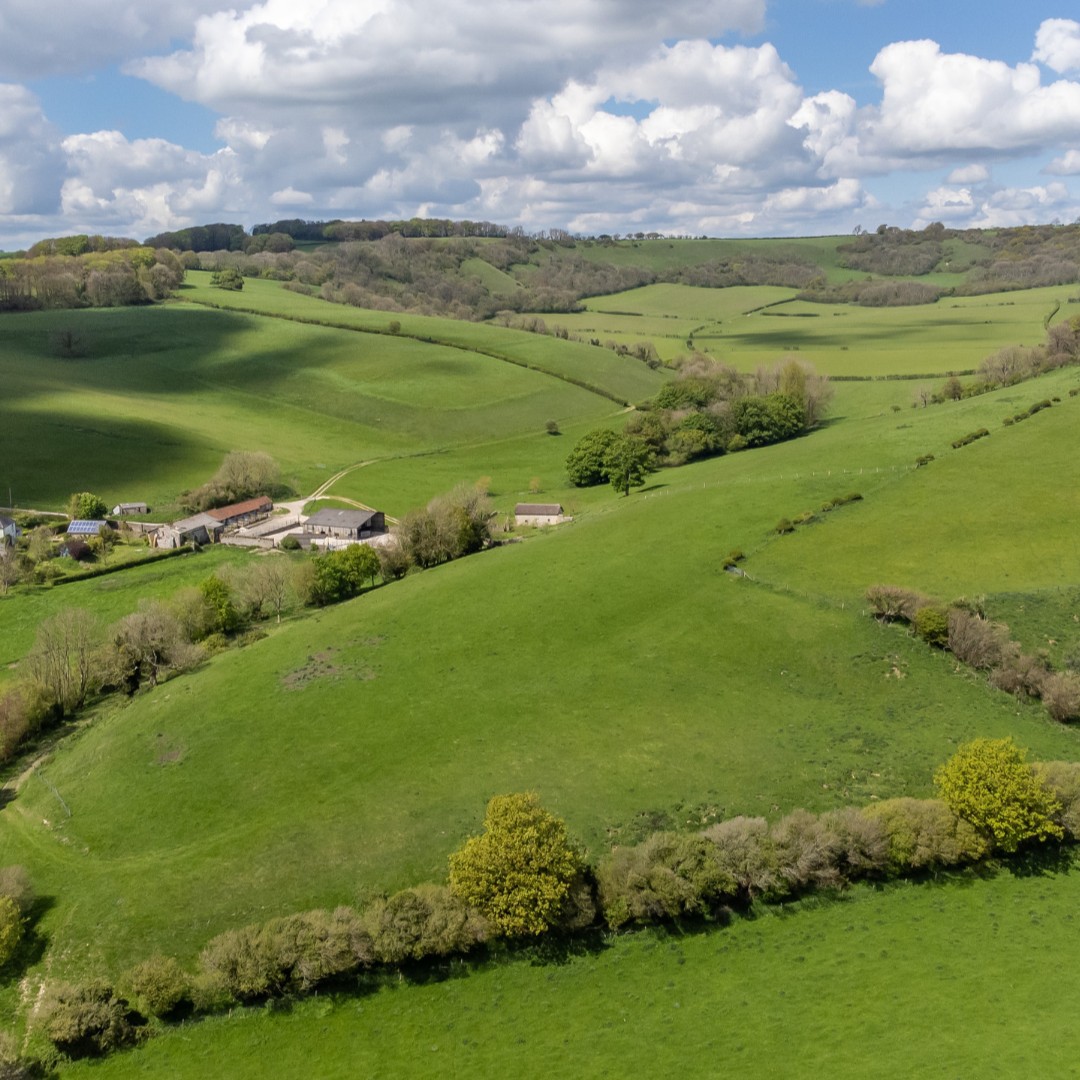 NaturalEngland's tweet photo. Great news for Dorset's wildlife - Lyscombe is now a National Nature Reserve! 

Spanning 334 hectares (around 468 football pitches), this remarkable landscape is home to rare chalk grassland, ancient woodland and some amazing wildlife 🦋  

https://t.co/tlJxAclr2G https://t.co/307G3LT4A4