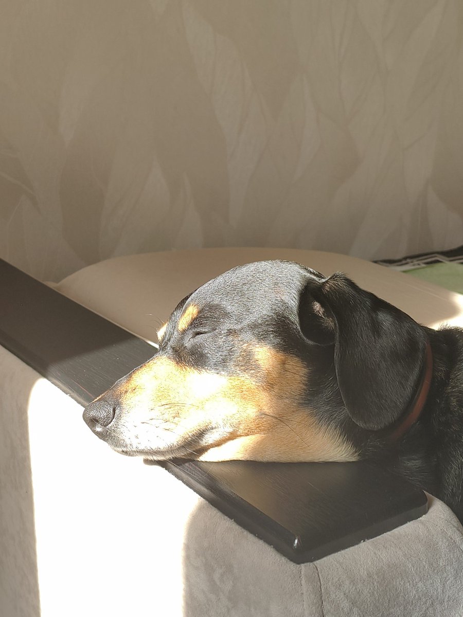 shul3v's tweet photo. https://t.co/3Md9IonwAx