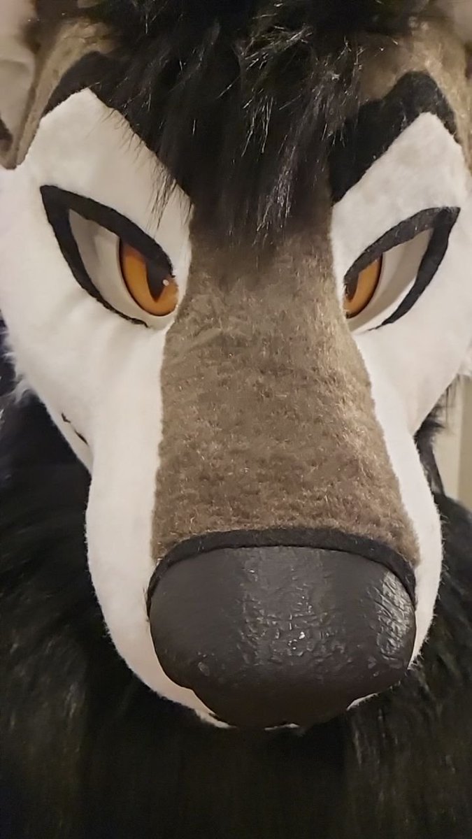 KaydeWoof's tweet photo. Fursuit Partial arrived safely yesterday! https://t.co/MrBw9vY6NH