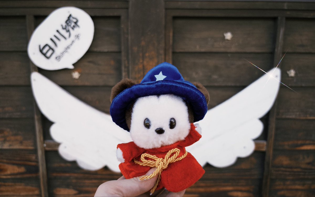 0T4hk's tweet photo. ほまにかわいいわね https://t.co/6hbHu7L49C
