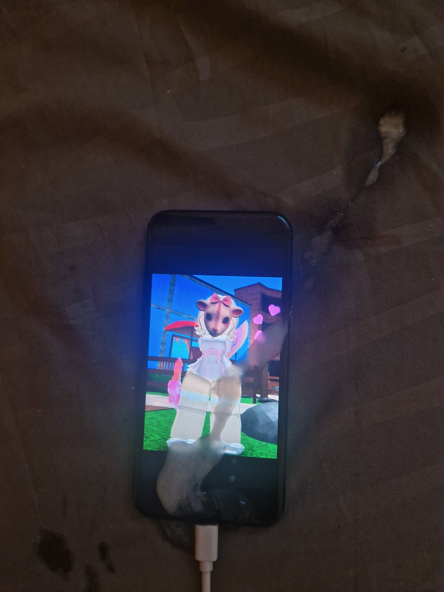 rot3232's tweet photo. @ItsCh3rryR3d 

#nsfw #roblox #robloxnsfw #roslut #tribute #robloxcumtribute #trib #robloxtrib #robloxtribute https://t.co/0Oh2yH5kAp