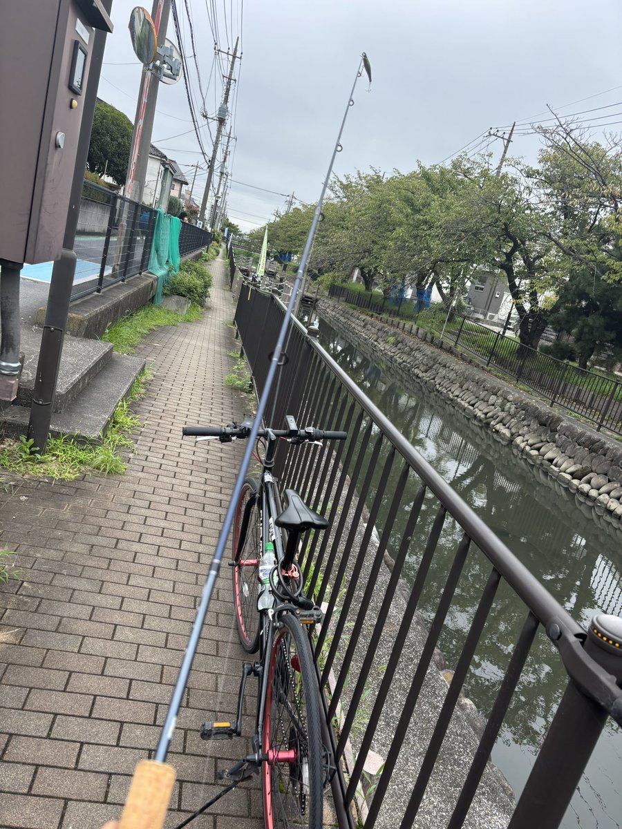 Razu1x___'s tweet photo. 趣味 https://t.co/01URB0Nrxc
