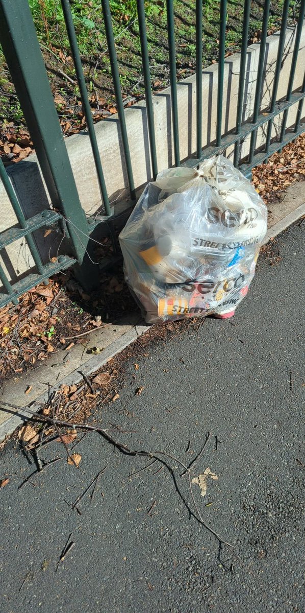 Litterwatch1's tweet photo. What a morning! Massive shoutout to Jo for clearing a staggering amount of #nitrousoxide canisters opposite the Wednesbury park. The UK-wide litter problem is out of hand. How do we fix this? Drop your thoughts below! #sandwell #volunteers https://t.co/JBok4lwEaf