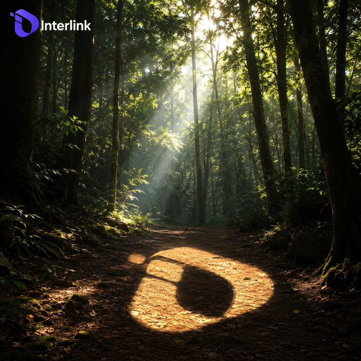 Julistarn6gl's tweet photo. Interlink connects people, ideas and opportunities across the world. #interlink #ITLG #ITL https://t.co/EaR3vDLRRi