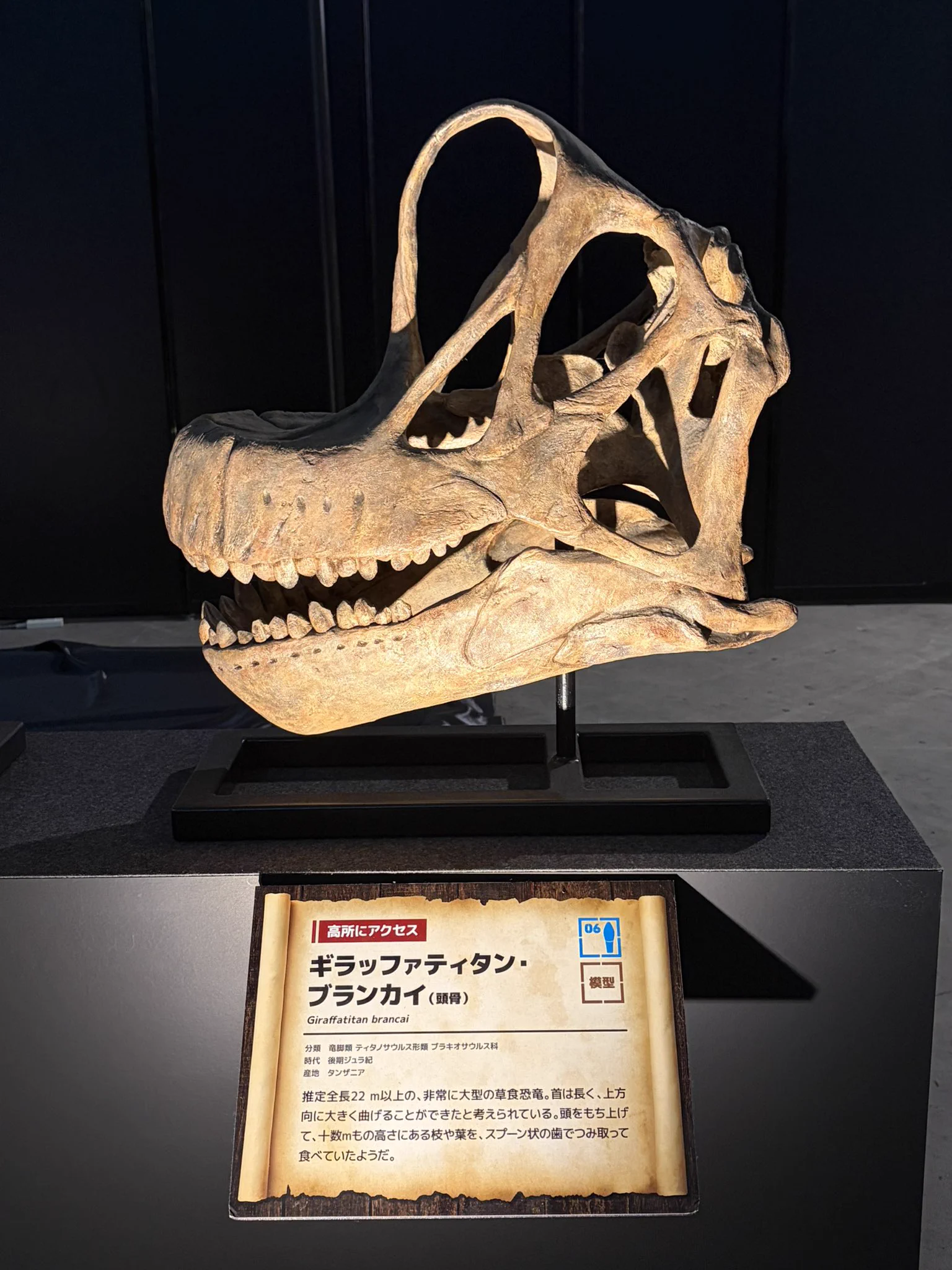 化石 萩原グレイトマキシマムフルブラスト on X: 