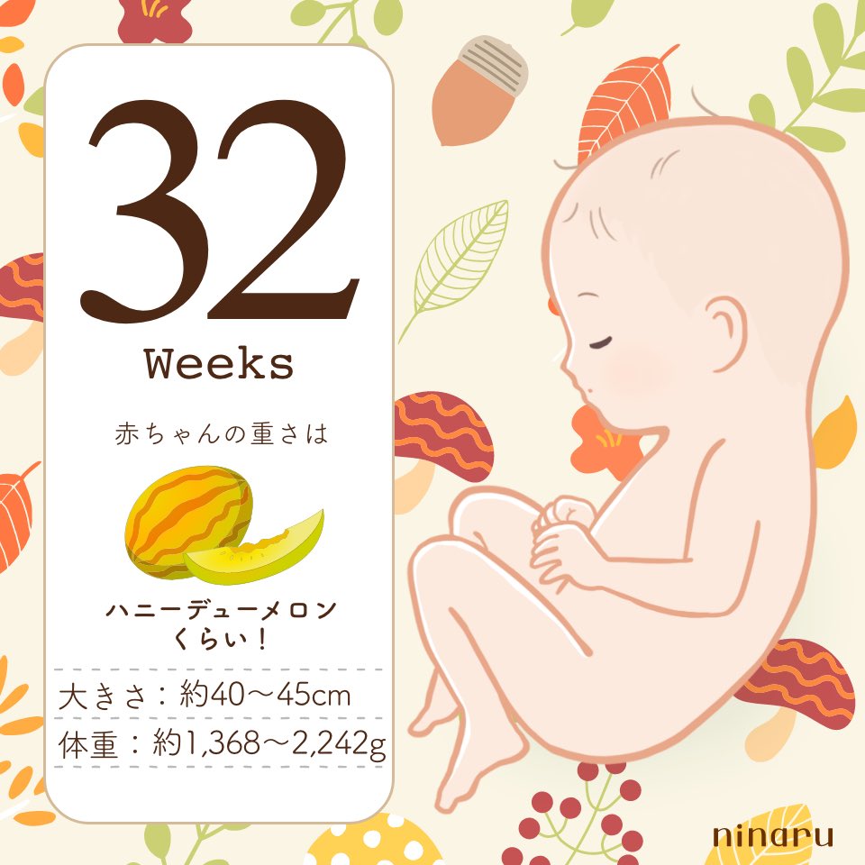 SUMIRE_MATA's tweet photo. 32w！！！！
9ヶ月！！！ https://t.co/Sz7NZ4AbpH