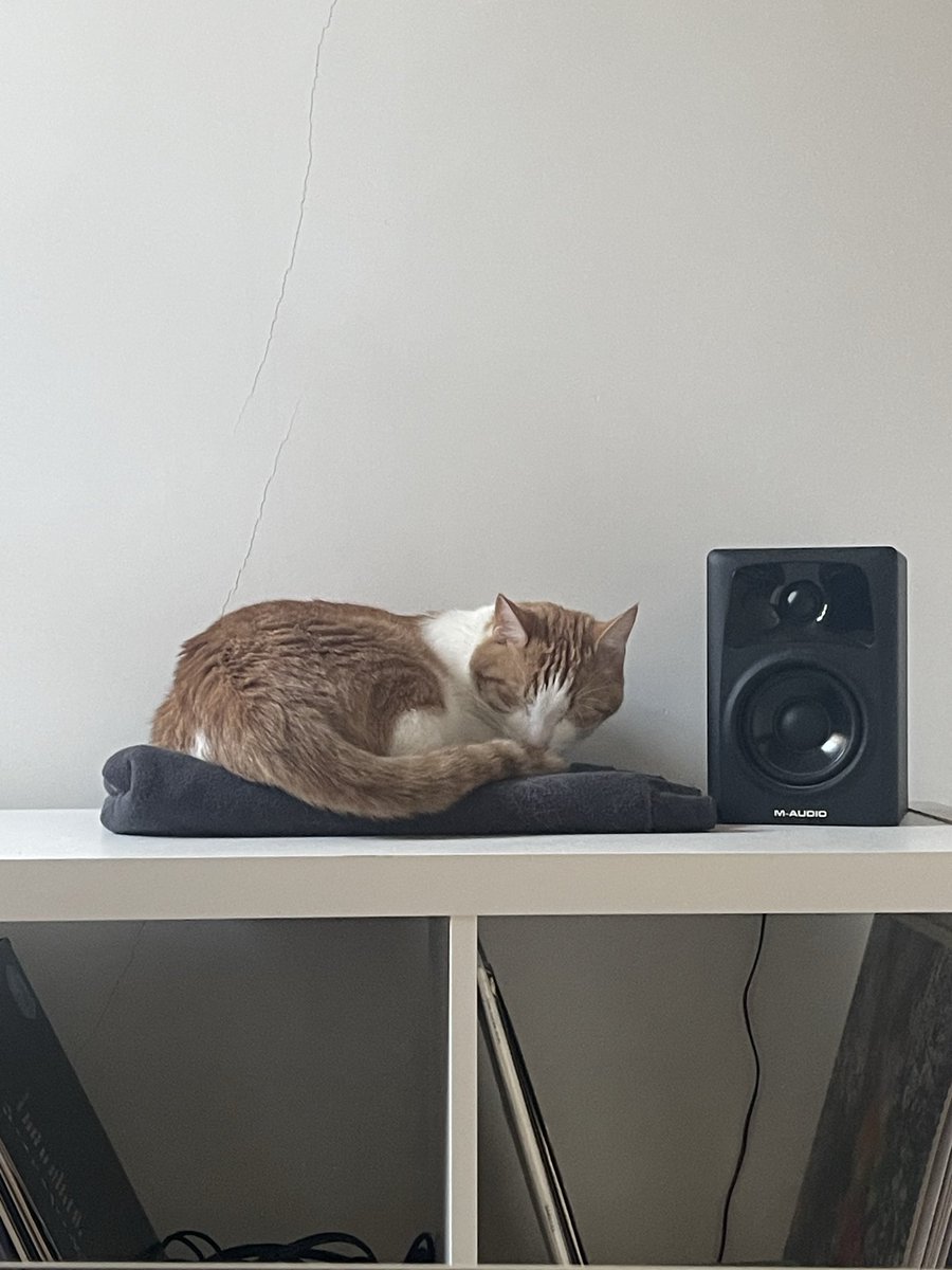 nunuslechat's tweet photo. ce mec dort sans appui https://t.co/vD1nntYVFn