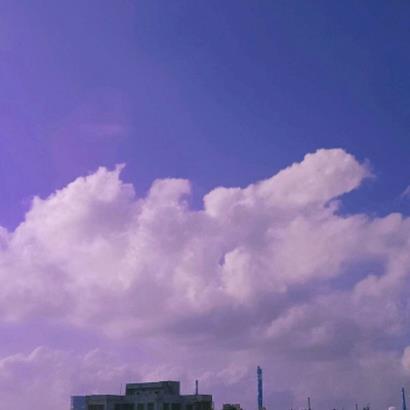 TimWoodny's tweet photo. 🍬 🌻 Just saw a dog in sunglasses, I m living https://t.co/zd34gj5hNE