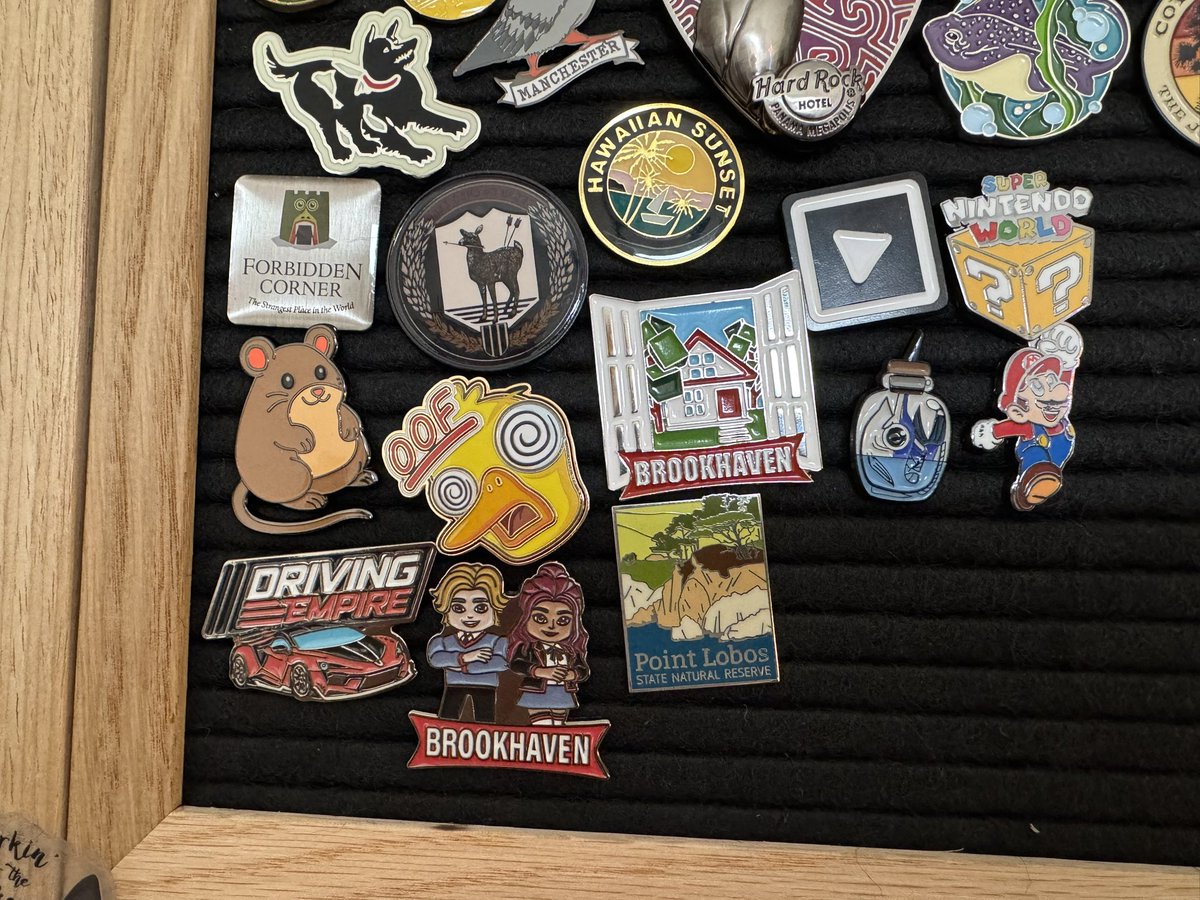 SnowbucketsRBLX's tweet photo. The only cure for #rdc26 blues is adding the pin haul to your collection https://t.co/NwjL0r7LgG