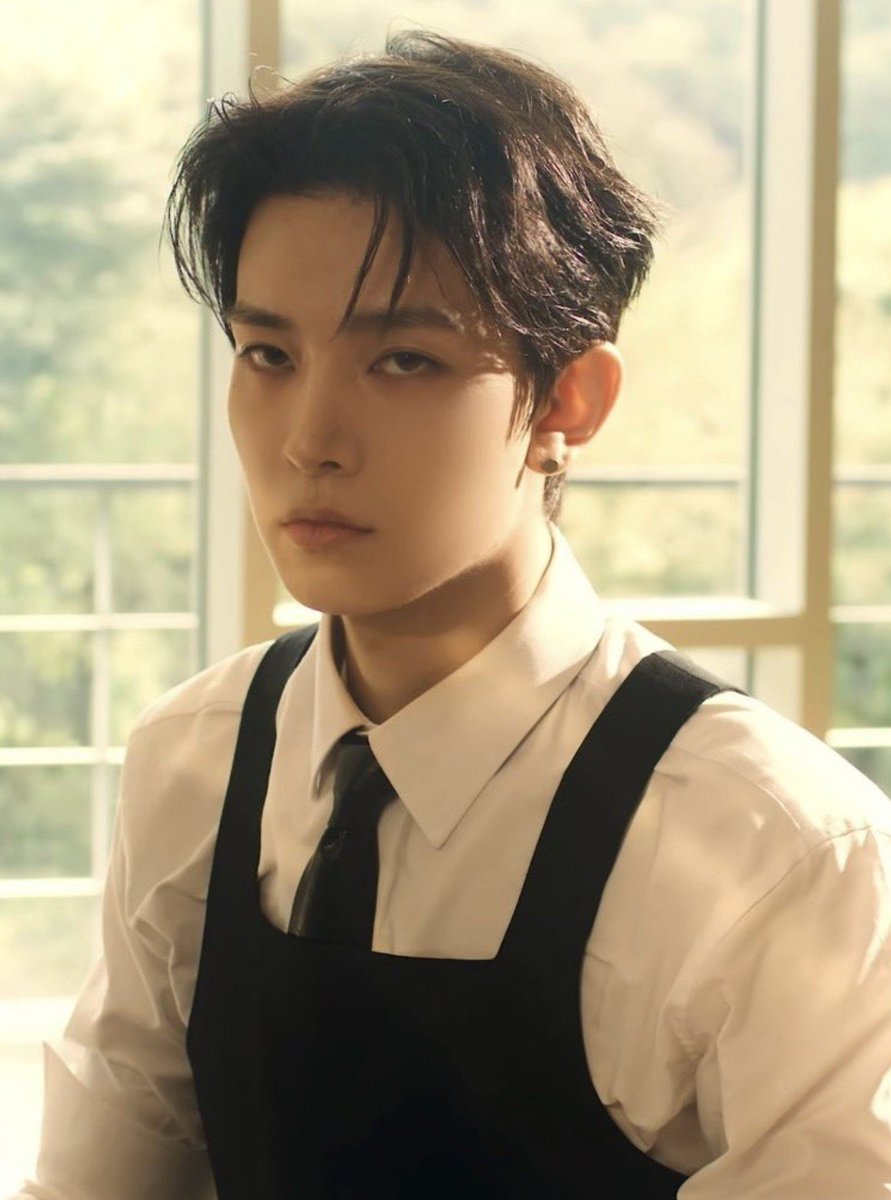 seungulls tweet picture