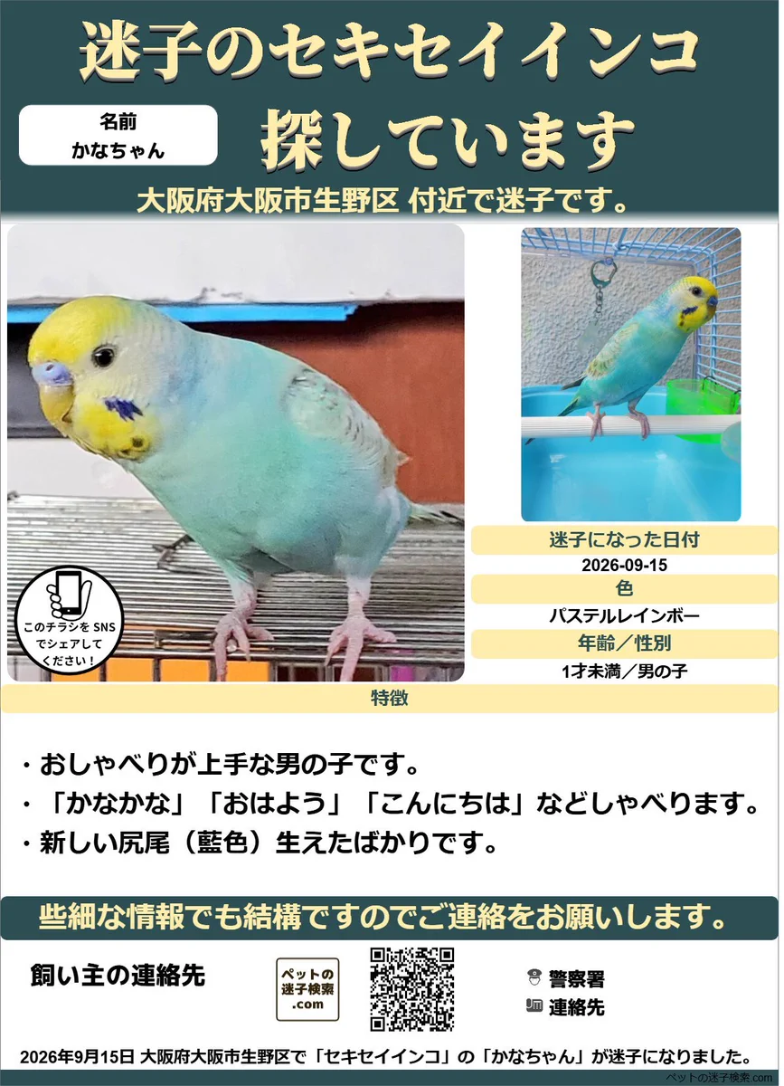 モクレンと緑色のセキセイインコ鳥の日本画 ツンデレ×μ's・皐月@東雲皐月・鳶沢みさきFC 5月17日日本橋ストフェス