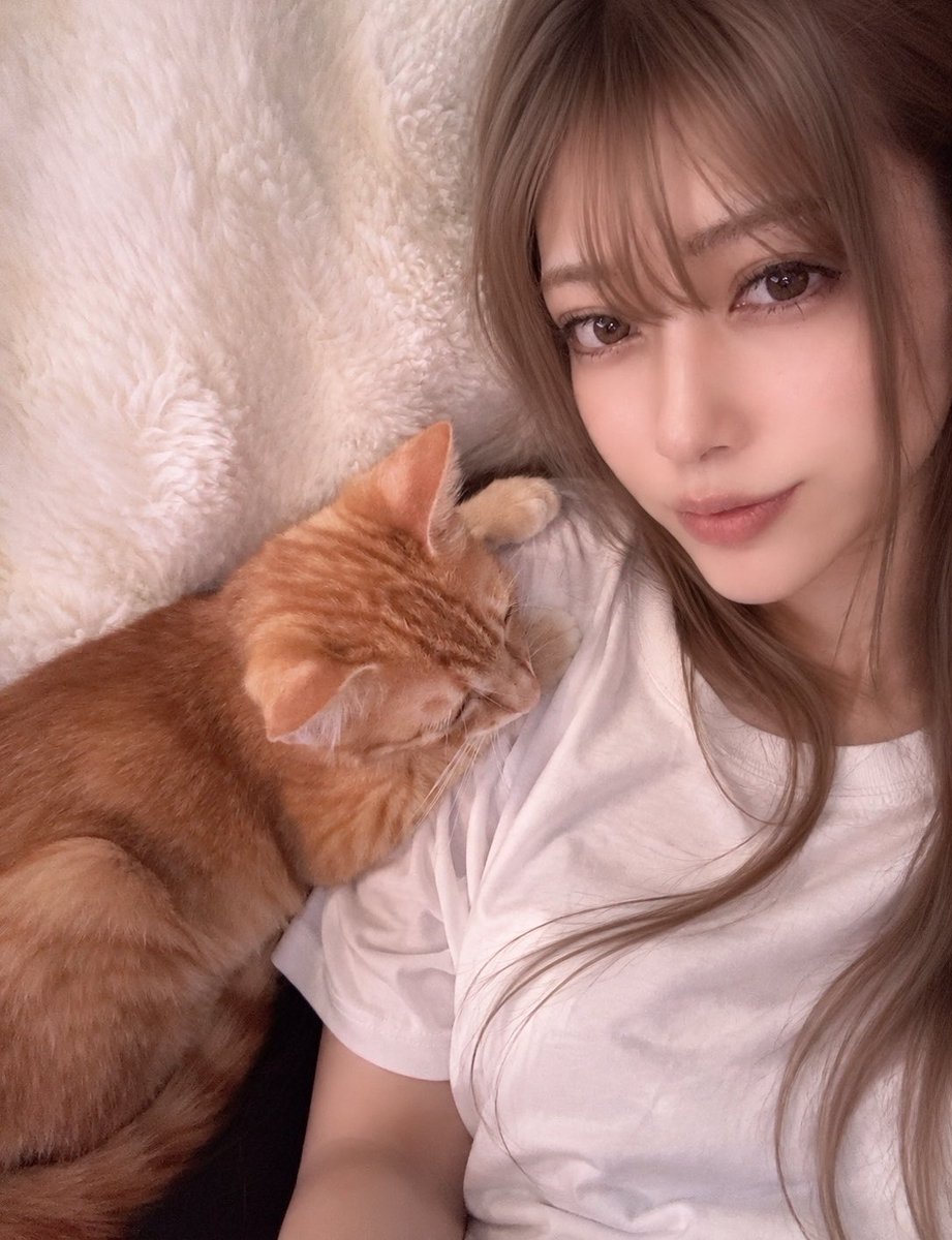 Joestar_meow's tweet photo. ちょっとした報告..♡

先日配信では少しお話しましたが
家の前で大怪我してグッタリしていた野良の子猫を保護、長期入院を経て無事に退院し、
私とこれから一緒にいることになりました❣️

今はまだ子猫も体調崩してて
お家に慣れるところからですが
もう既に少しづつ甘えてくれてます💓
本当に可愛いです🐈⸒⸒⸒⸒