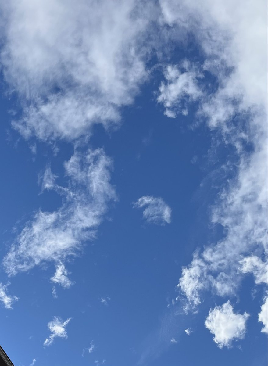 hiro12Masa30TW8's tweet photo. こんにちは😊
やっと出ました青空💙

健康診断に行きました。
生活習慣は何も変わってないのに　な〜んと体重が3kg落ちてたぁ🤭　が、
お腹まわりは変わらず🤣
どこのお肉が
落ちたんだぁ💦
他の結果はまだだけど
何もない事を🙏

中居くんも健康診断行ってね。
健康で元気でいてくれなきゃダメだよ‼️ https://t.co/GLUHneKQGs