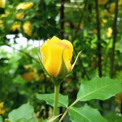 Surende24511509's tweet photo. 🎊 🌻 🌺 Attended a book club meetup, debates sparking over plot and prose shared reads deepen appreciation through fresh eyes. https://t.co/fcDZzZ49oA