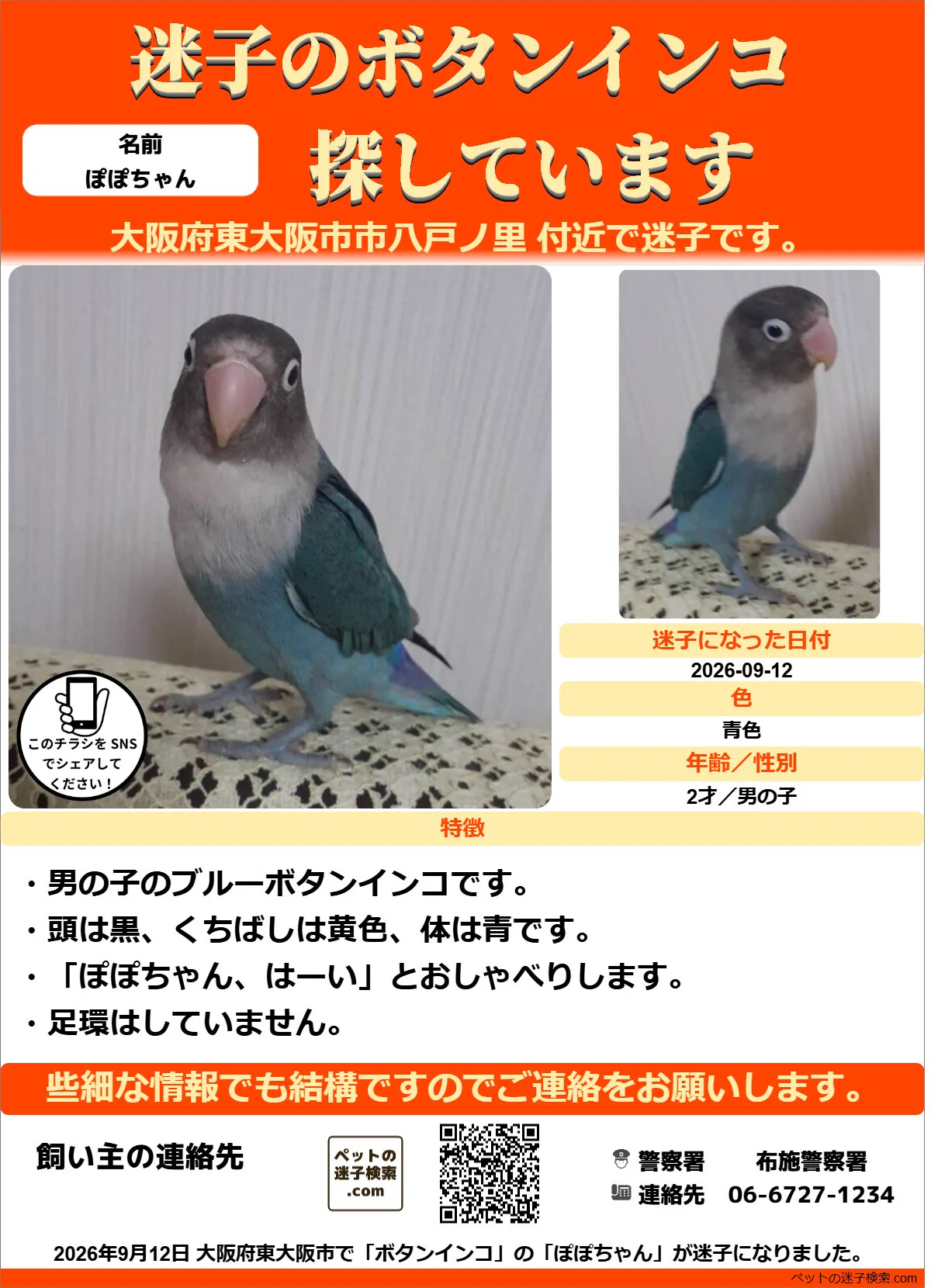 本家】ペットの迷子検索.com on X: 