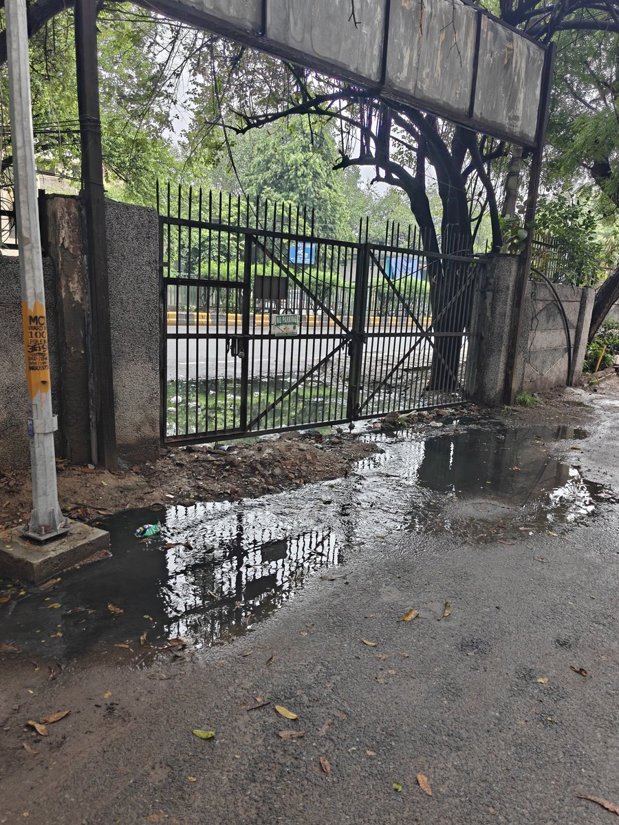rsanjay900's tweet photo. @Lawyer_Kalpana @BJP4Delhi Yeh bhi dekh lete thora sa hari nagar me mene bhi vote diya he https://t.co/r3FKRu1mv0