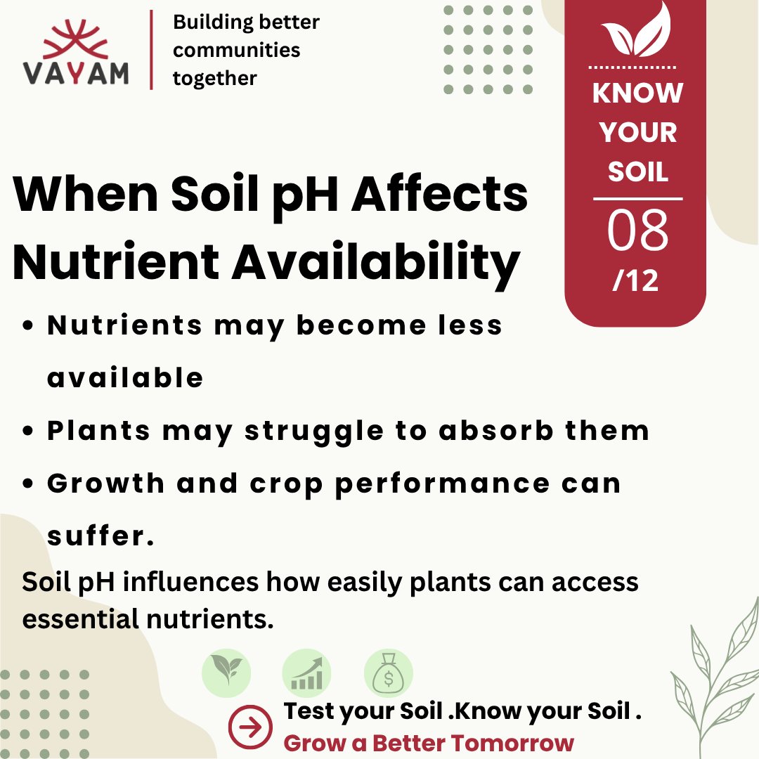 vayamindia's tweet photo. Know Your Soil | Part 08
Soil pH dictates whether your plants can actually absorb nutrients. Even rich soil fails if the pH is off, directly impacting crop growth.
Test pH first—feed your land right with Vayam Bhoomi.
#SoilHealth #SoilTesting #SustainableAgriculture #VayamBhoomi https://t.co/U3zZtP8ZjT