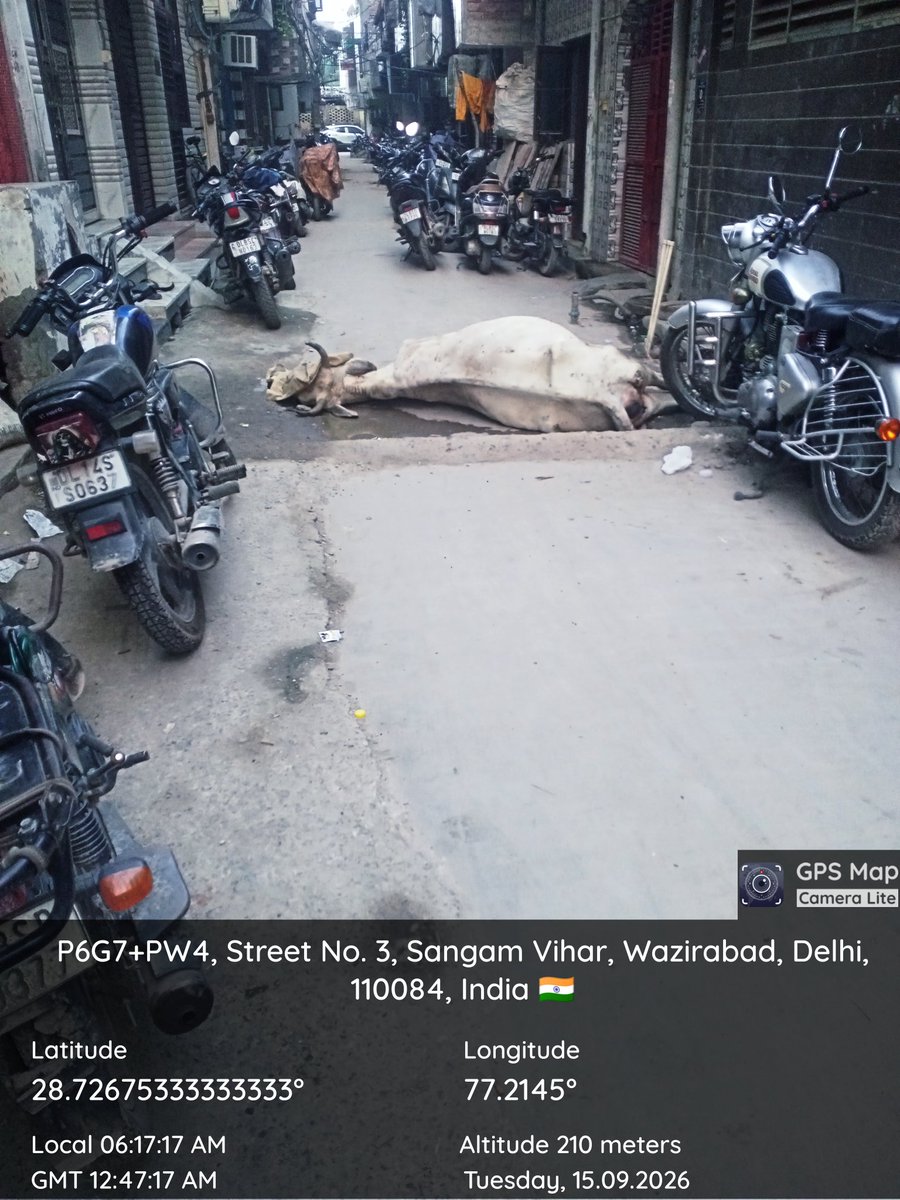 aam_solution's tweet photo. Plzz help @MCD_Delhi @SBM_MCD 
@gupta_rekha 
@cmo https://t.co/wVyQfRFfmW