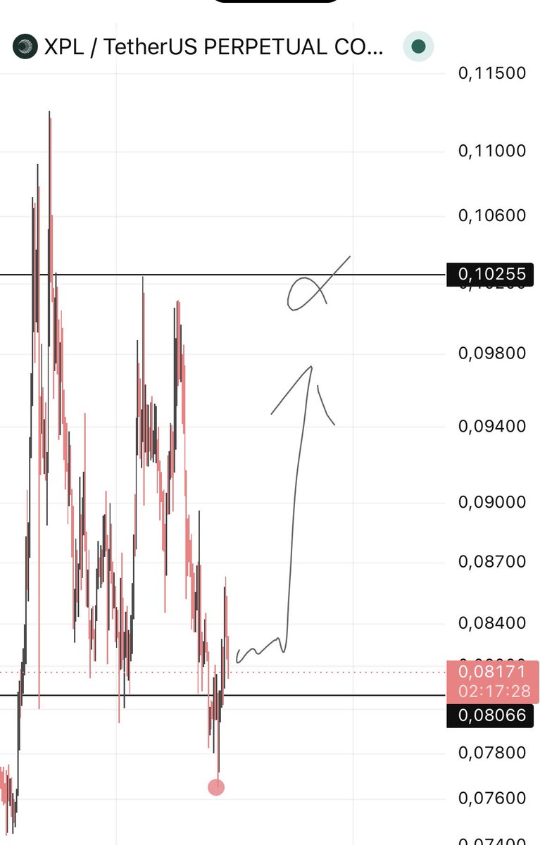 FinanceCD's tweet photo. Let's see what it's gonna do. 

$XPL Looking pretty strong. https://t.co/fCIEMqcYsI