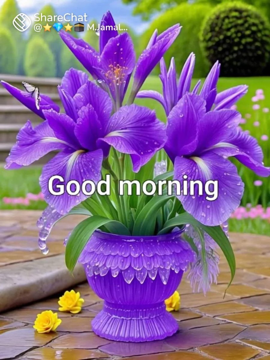 DevaRed11001355's tweet photo. @mayareddykp Good morning ji https://t.co/62ZSEJafwK