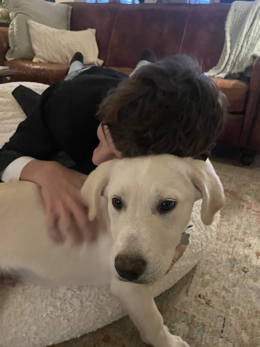 notsasha8's tweet photo. finn wolfhard's phone gallery be like https://t.co/gUnNaDJUsN