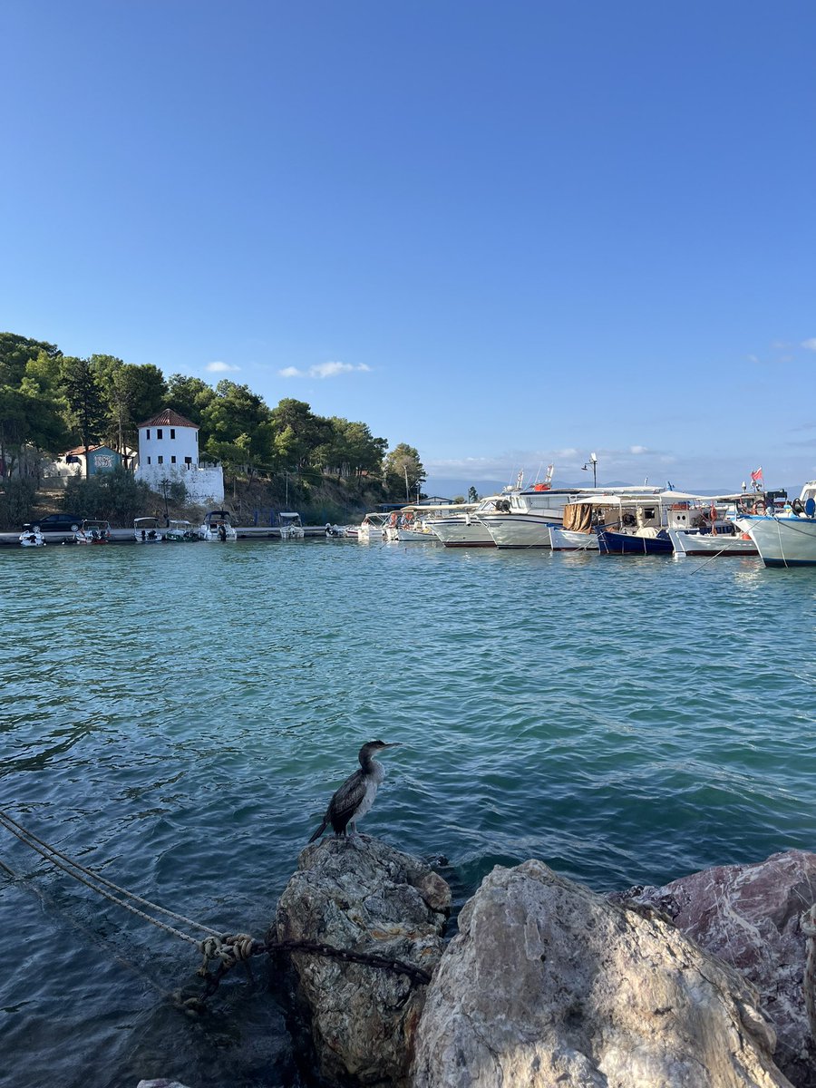 ClaraElch's tweet photo. You would have loved the place https://t.co/dqOhYSCoWL
