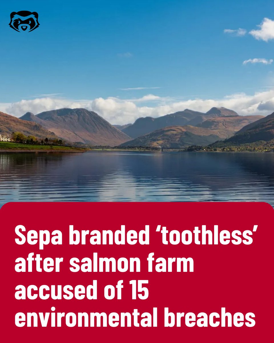 A scenic Scottish loch surrounded by mountains under a bright blue sky. Headline reads: “Sepa branded ‘toothless’ after salmon farm accused of 15 environmental breaches.”