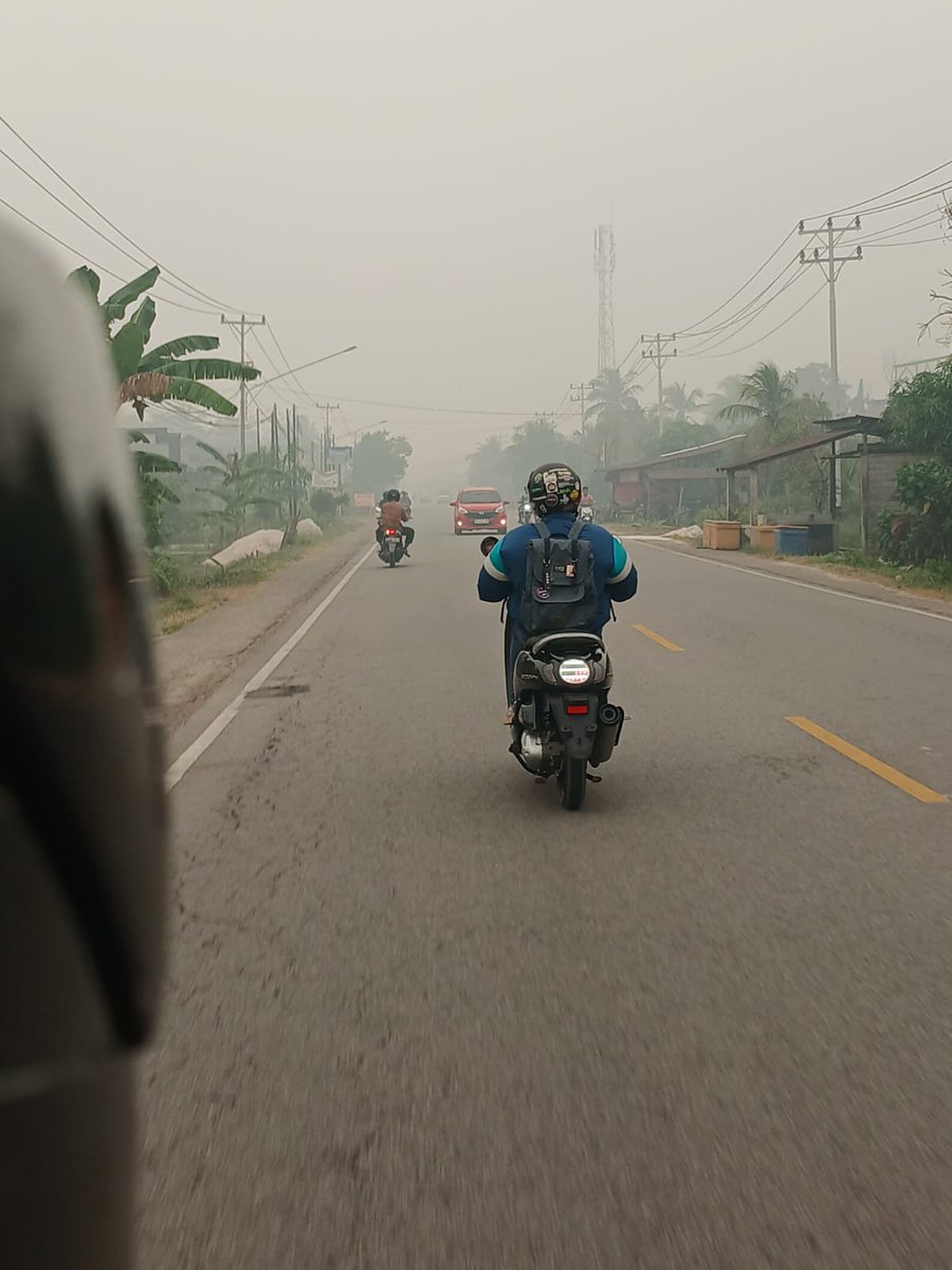 LiyanaSeptiani's tweet photo. Kalimantan Barat, apakah pemimpin negara ini memikirkan apa yang ia lihat apakah cuma memekakkan telinga #saveborneo #savekalimantan https://t.co/6rrv0csw4Q