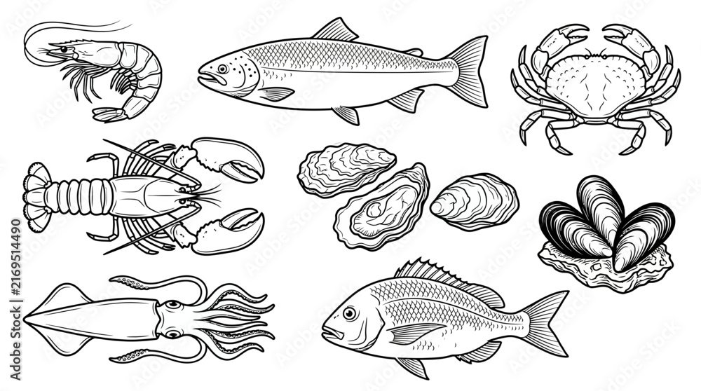 dinamoni595's tweet photo. Set of hand drawn seafood icons, fish, shellfish and crustaceans in line art style. #Adobestock #dinamoni595 #viralpost
Download link: https://t.co/0N5CSYmwNm https://t.co/iu427SjQrd