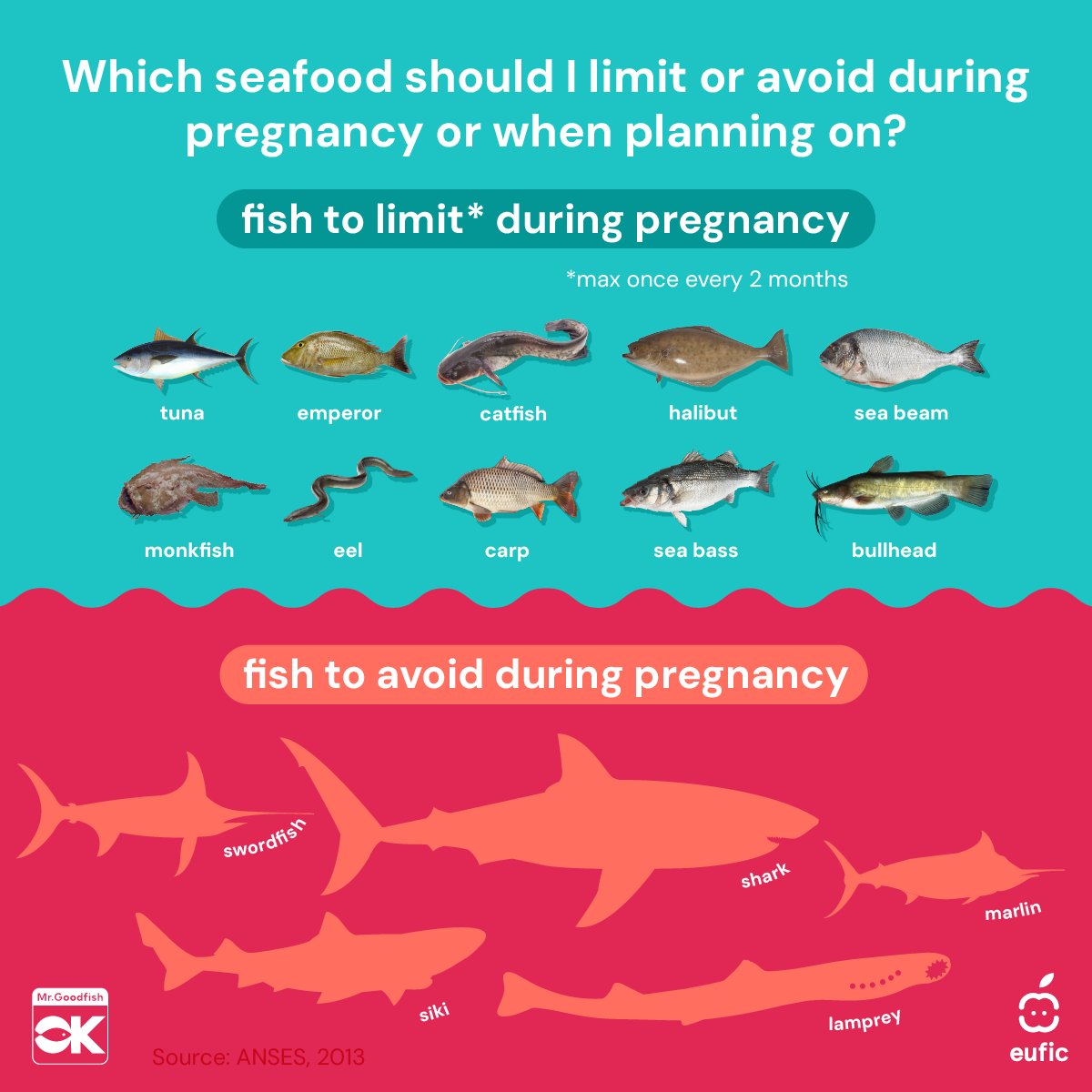 EUFIC's tweet photo. Can you eat #seafood when youβre #pregnant? π€°π
The short answer: yes! Aim for two portions of low-mercury seafood per week.
β οΈ And remember: avoid raw or undercooked seafood, as it may carry microbes that can cause food poisoning. #MrGoodFish https://t.co/8wolR4ZHWs