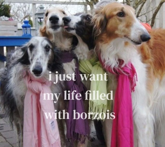 caninepoetry_'s tweet photo. https://t.co/oQNd5FuycM