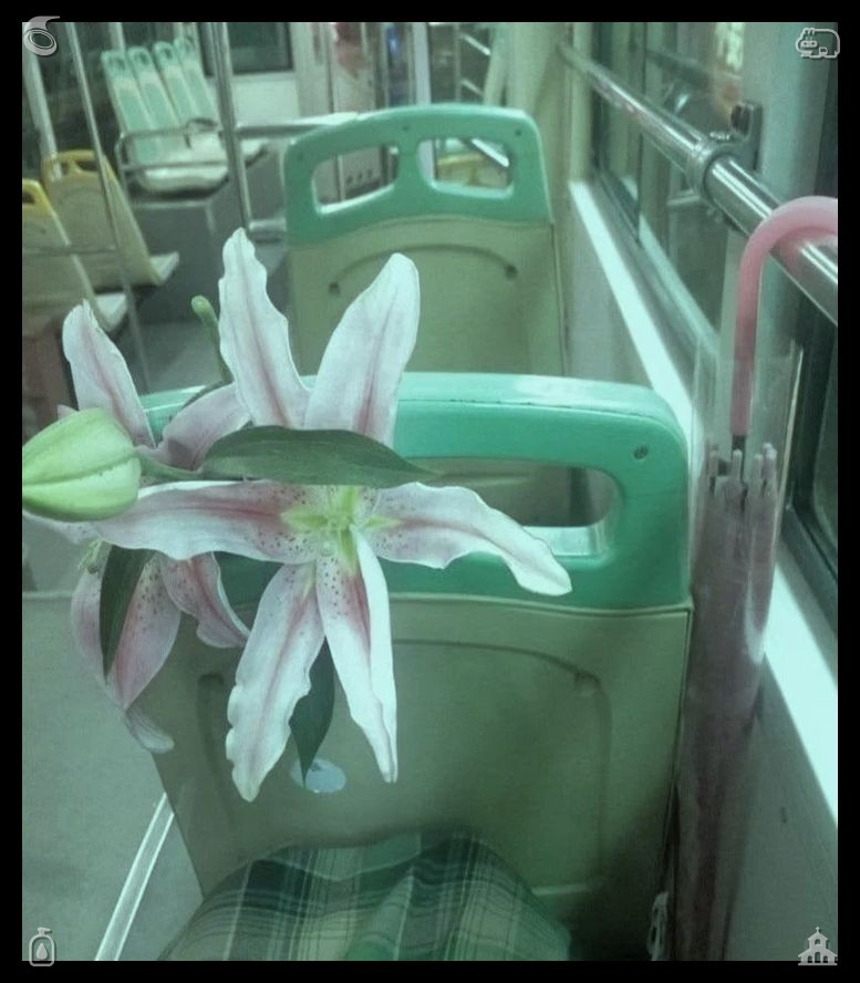 kelcasttro's tweet photo. 🚍An Evening Stroll Together The pair is joyful The blanket feels cozy, threadbare after many years of wear, its hues muted into a soft cream and blue, embroidered with small blossoms that her mother cherished. https://t.co/8FtA96Pi94