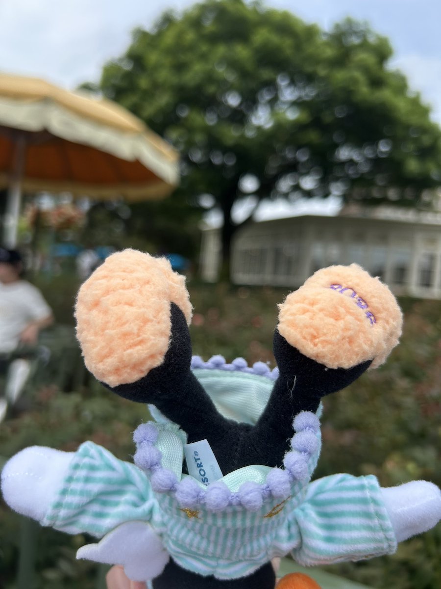 dis_mickeymouse's tweet photo. ミッキーのかかと見れてテンション上がった後、ノーパンでパジャマ着るスタイルだったことに気づいて🙄 https://t.co/WVwGEUHZB8