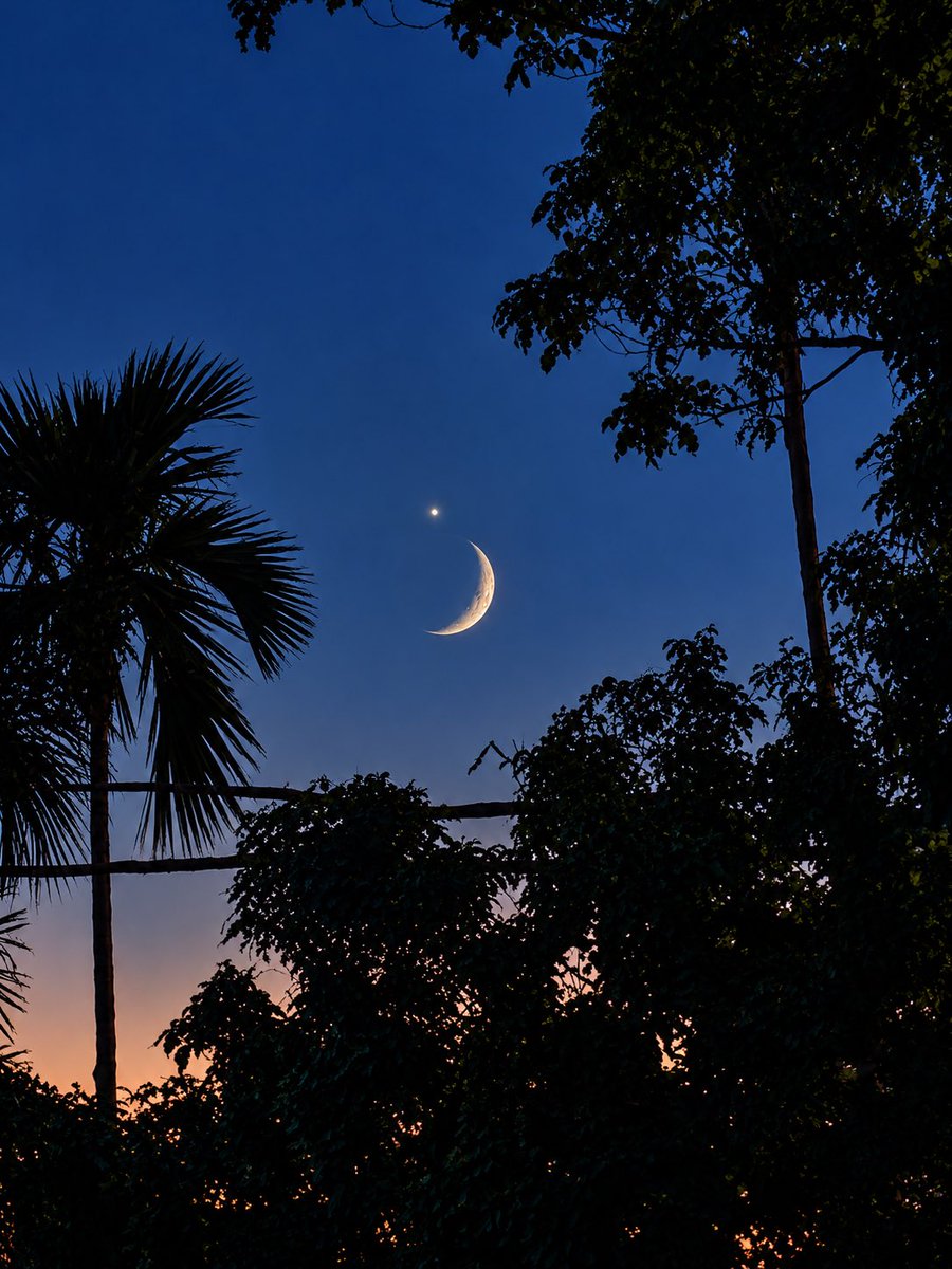 udipta_bhuyan's tweet photo. The Moon and Venus sharing the evening sky — a beautiful celestial moment. 🌙✨ https://t.co/6KsrJgb5k6