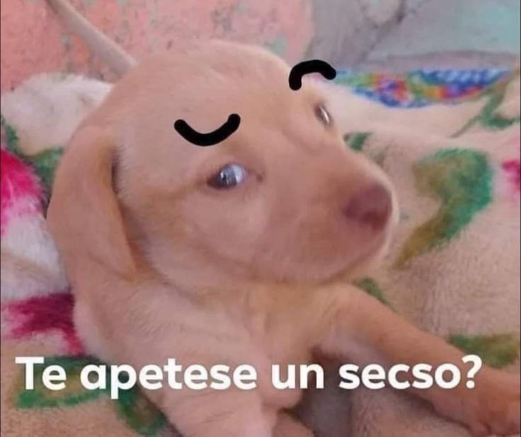 devs0777's tweet photo. Jordan por favor préñame 👅 https://t.co/ncITLwwJio