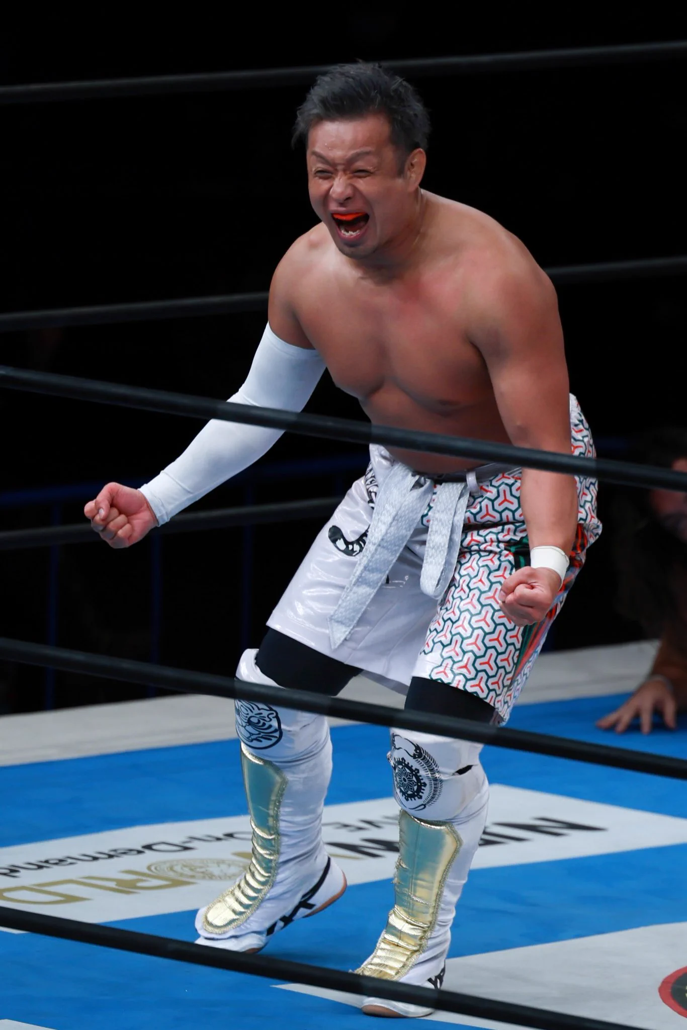 よっしーさん専用　ケイパレス すず on X: 