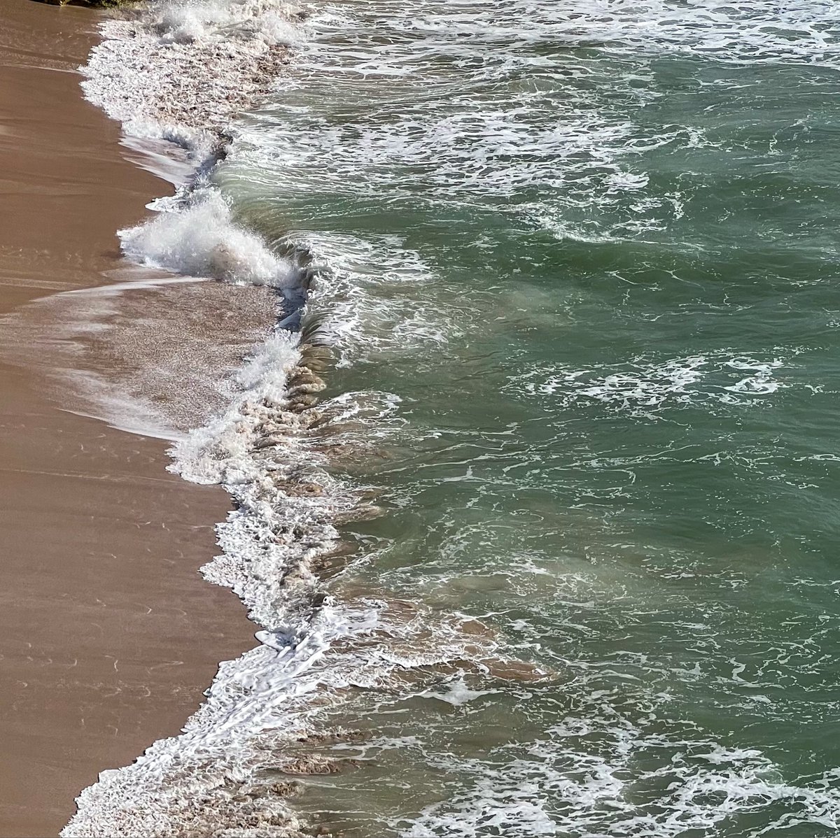 aiil7l's tweet photo. ˖°𓇼🌊⋆🐚🫧˖° https://t.co/YJzLWTgwqi