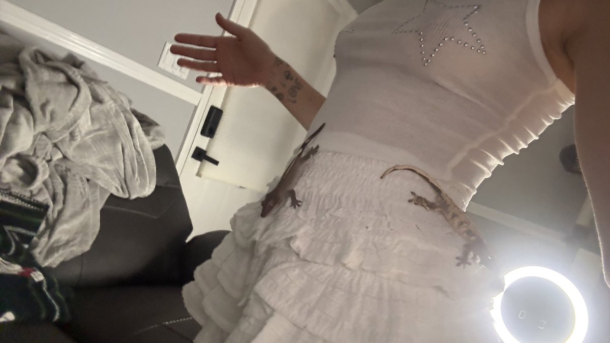 monicadrewed's tweet photo. better cuddlers than humans 🦎 https://t.co/hjbdWiqaZr