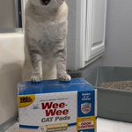 Photo by Four Paws Products (@FourPawsBrand)