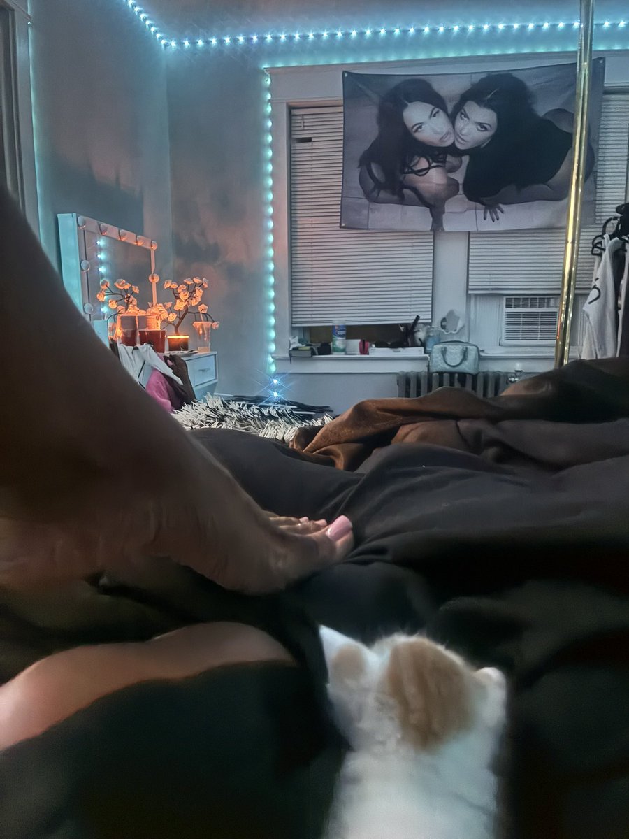 mrsdecemberr's tweet photo. kitten &amp; toes? 🦕 https://t.co/CdW5AncdTf