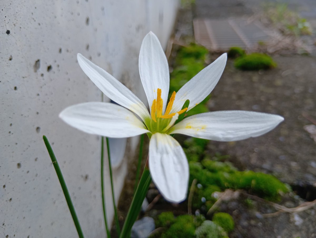hull_04's tweet photo. 今日のおさんぽ。 https://t.co/raxGWlQKr6