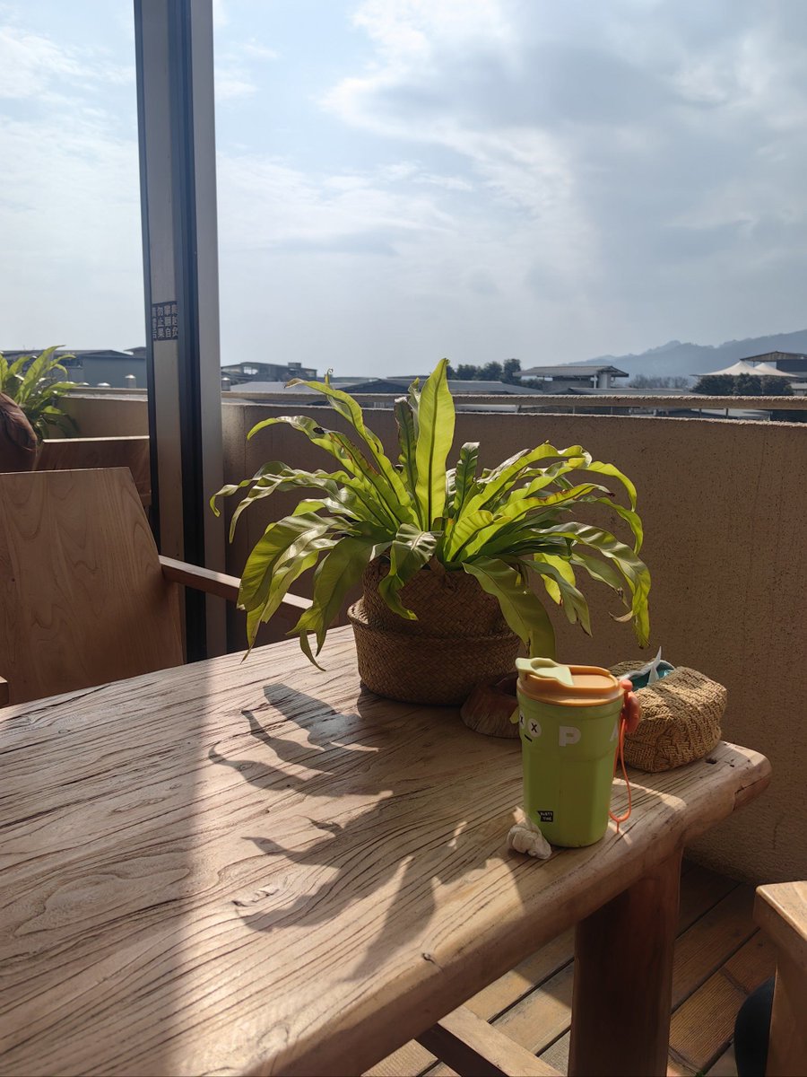 kaiaj240185's tweet photo. Starting my morning coffee at my new balcony with potted herbs instead of the old kitchen counter. Small shift, big vibe.， https://t.co/2PtPtMgJLG