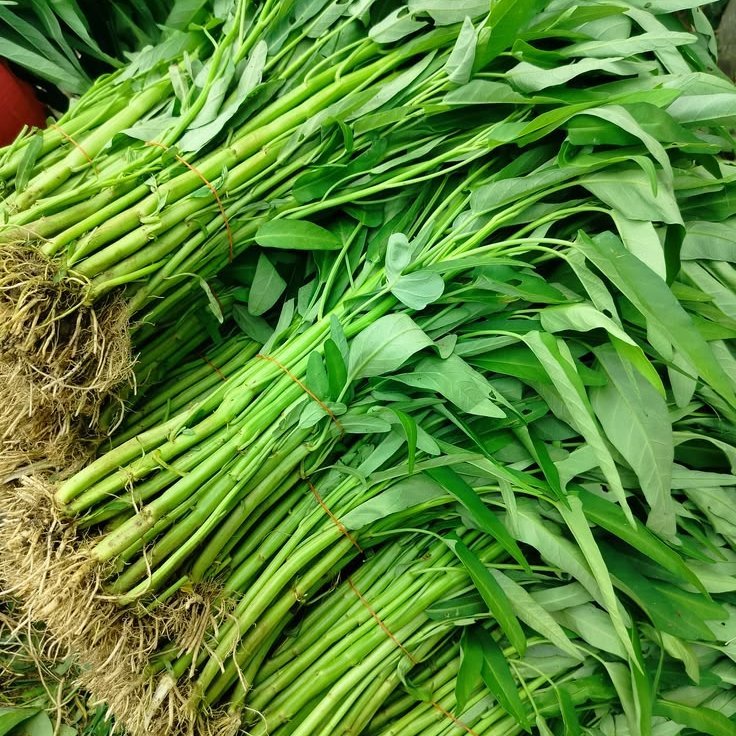 ProdukRacun_10's tweet photo. Mau masak tumis, tapi baru kepikiran selain sayur Xangkung, emang ada sayuran hijau yang depannya huruf X? https://t.co/IRKmexGKSy