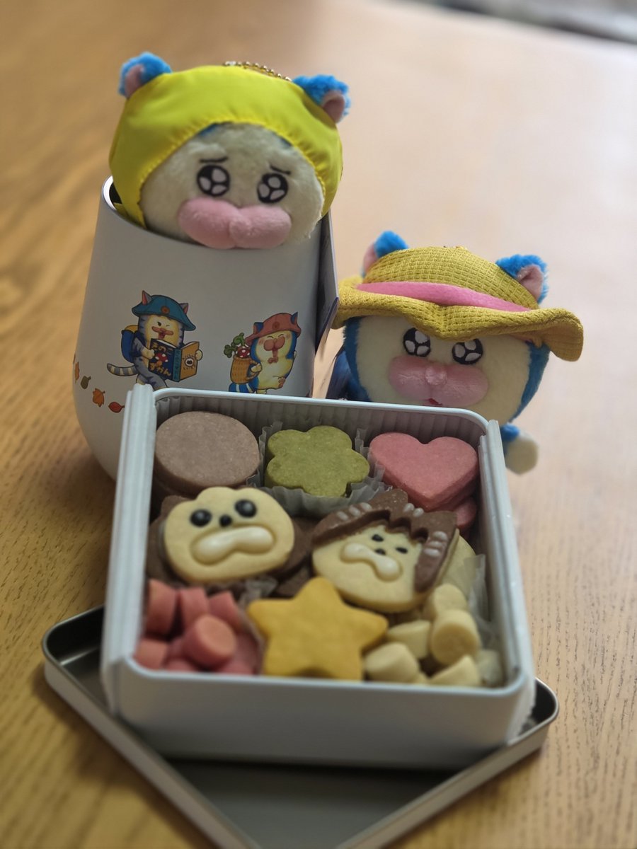 neta_140_'s tweet photo. #メロタビ旅する本屋さん https://t.co/msi3gb7wUY